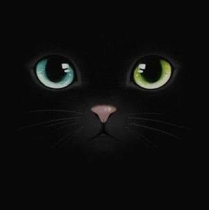 Meet your Posher, Marco